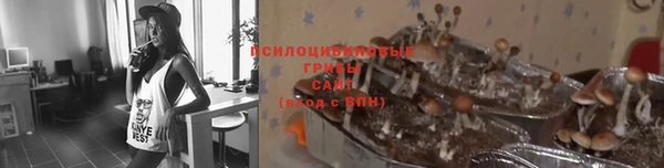 a pvp Зеленокумск