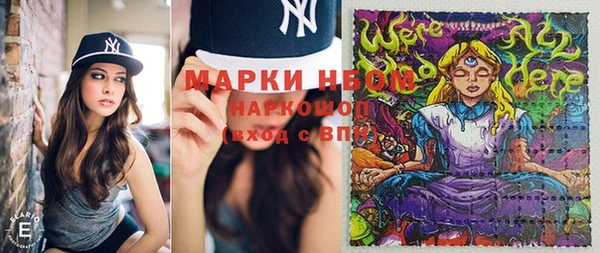 шишки Зеленодольск